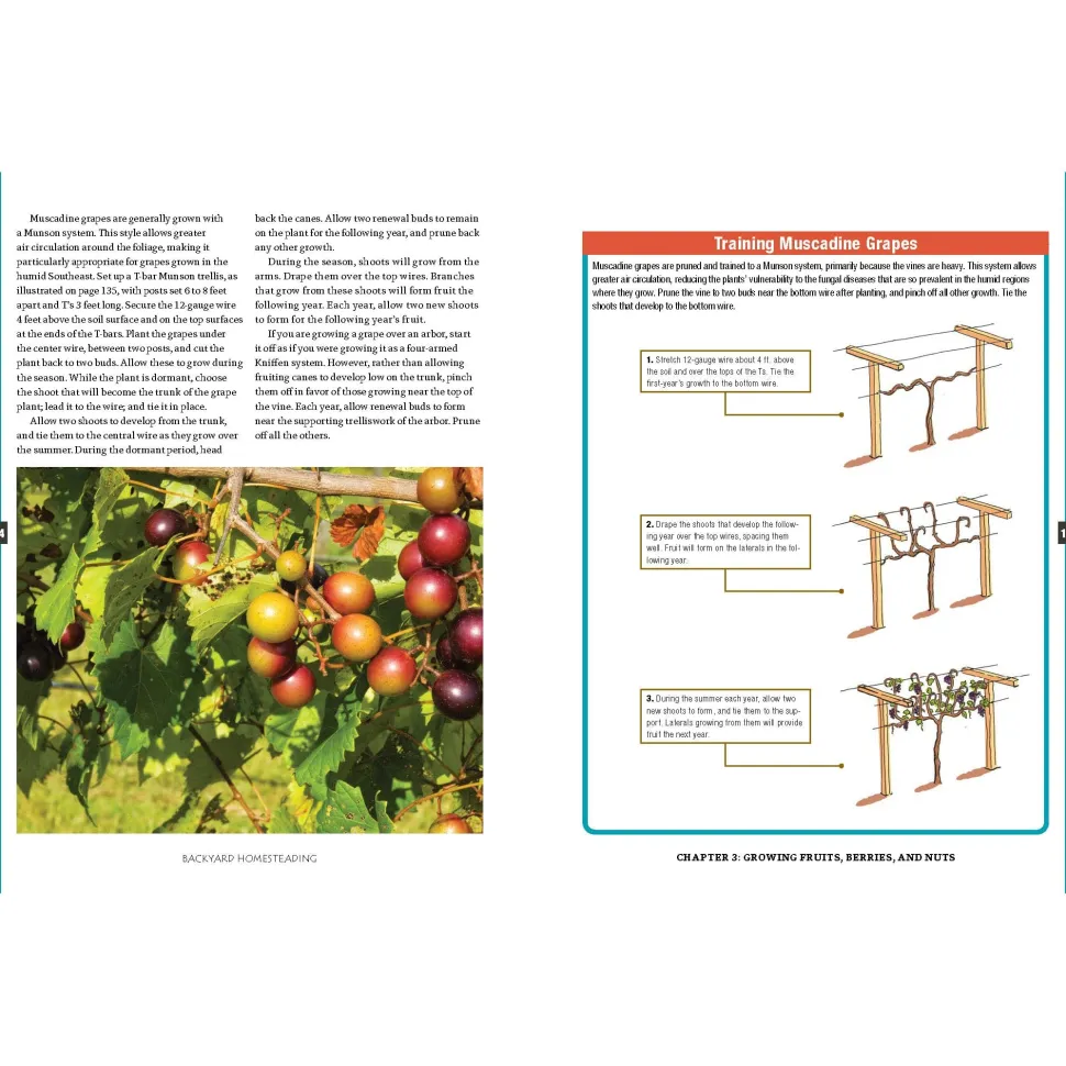 Backyard Homesteading, Second Revised Edition