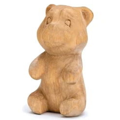 Bear Carving Kit