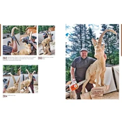 Chainsaw Carving for Beginnners