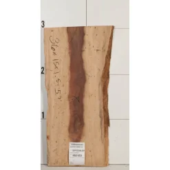 Curly Katalox Wood Slab