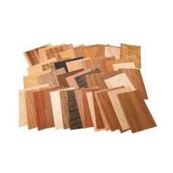 Domestic, Exotic & Dyed Wood Veneer Marquetry Mixed Variety Pack 5" to 7-1/2" Width 15 Square Feet