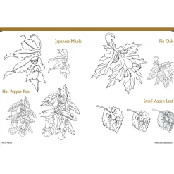 Relief Carving Wood Spirits Revised Edition
