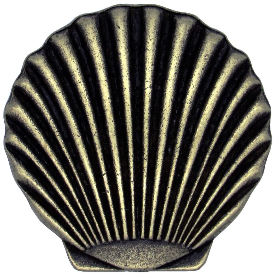 Scallop Seashell Knob, Brass Oxide