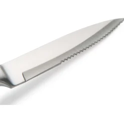 Steak Knife Set for Cutting Steak and Other Meats 9-3/16