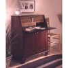 Woodworking Project Paper Plan to Build Drop-Front Writing Desk