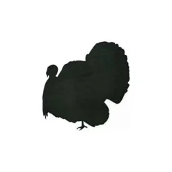 Woodworking Project Paper Plan to Build Turkey Shadow