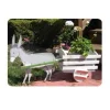 Woodworking Project Paper Plan to Build Donkey Cart Planter