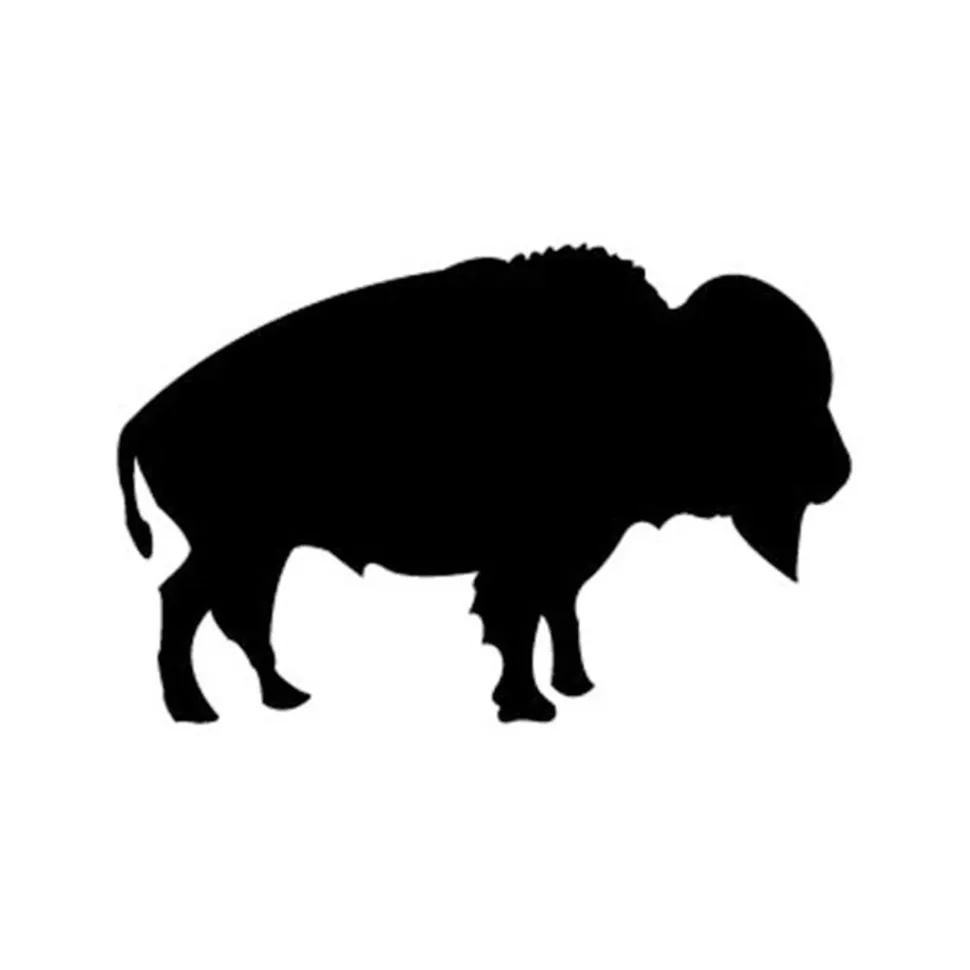 Woodworking Project Paper Plan to Build Small Buffalo Shadow