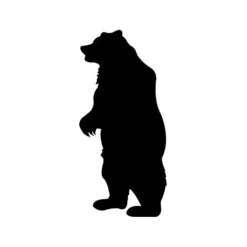 Woodworking Project Paper Plan to Build 8' Curious Grizzly Shadow